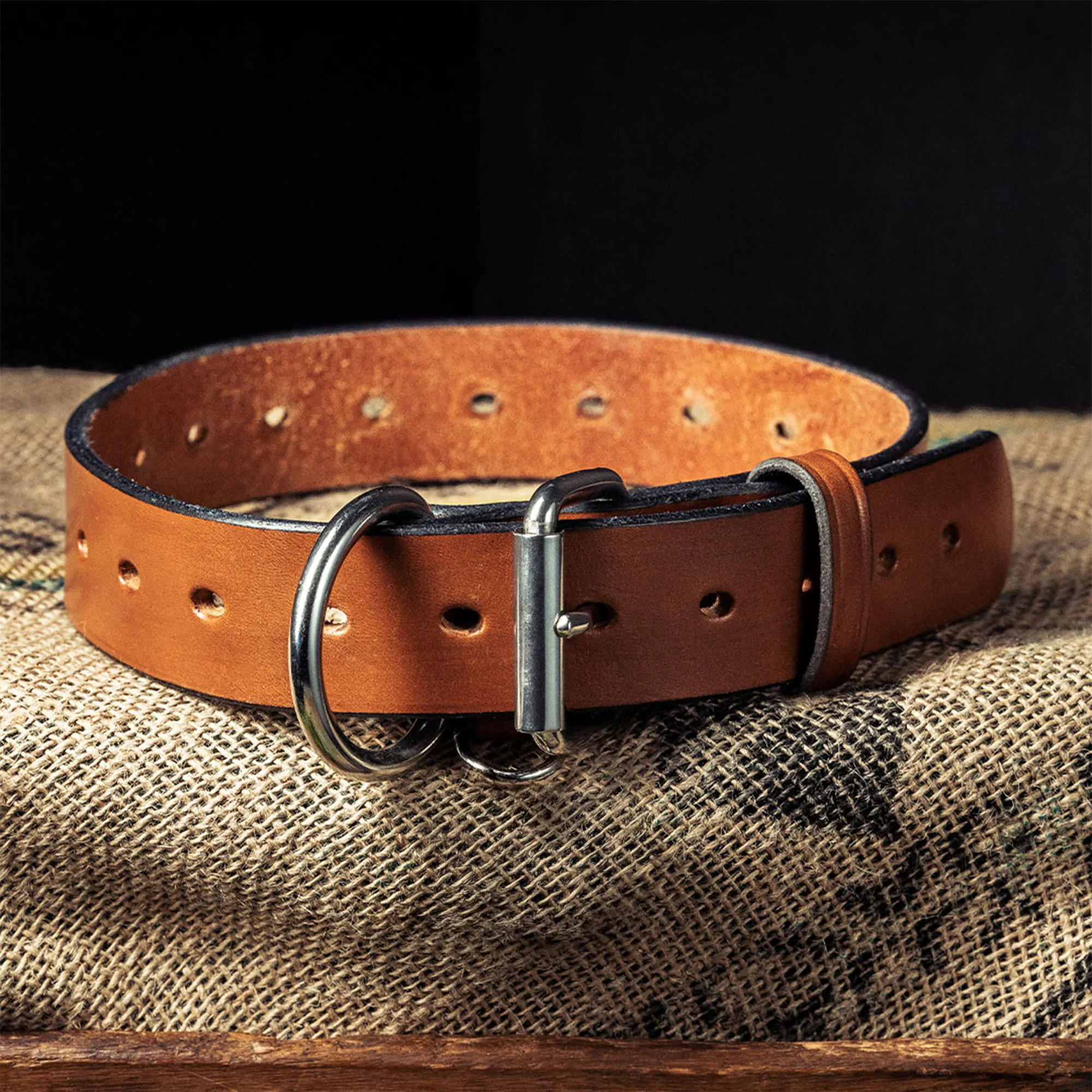 Big Ass Dog Collars for Big Ass Dogs - Image 3