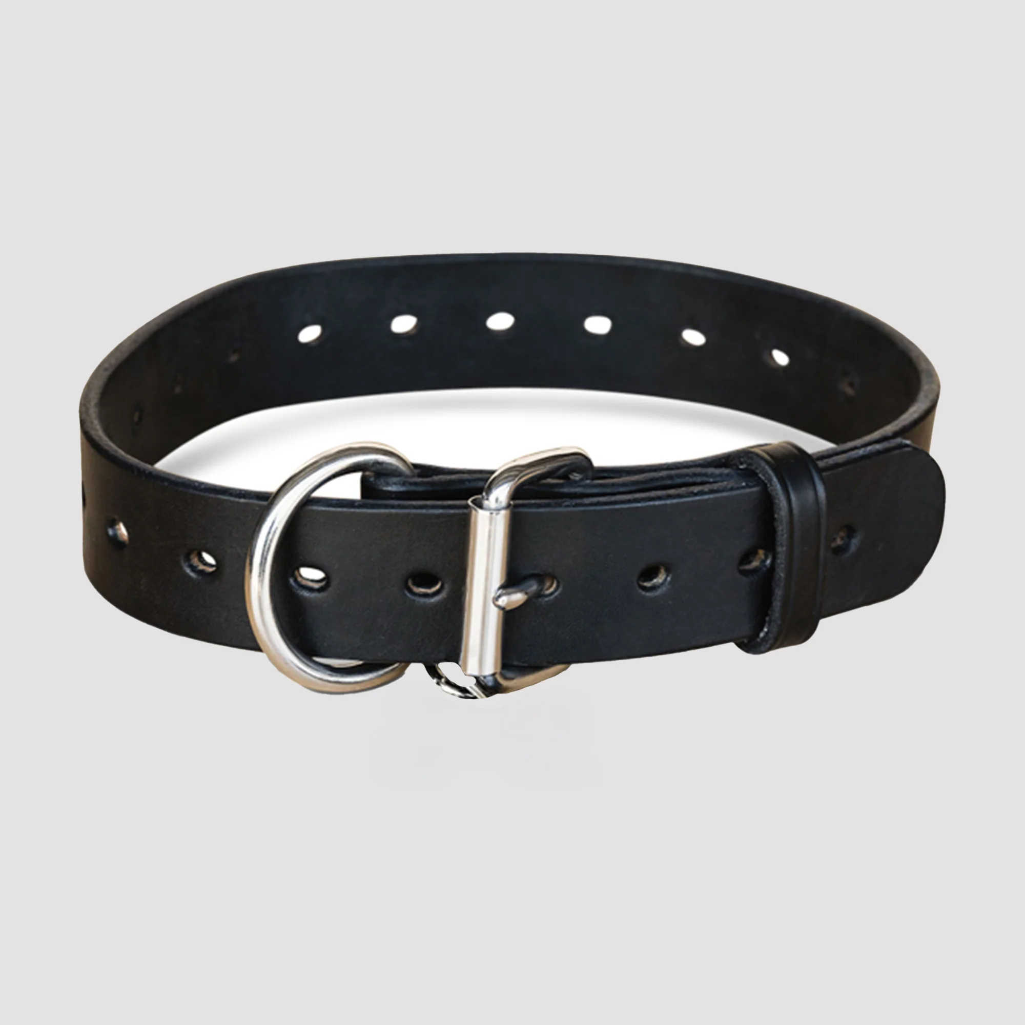 Big Ass Dog Collars for Big Ass Dogs - Image 4