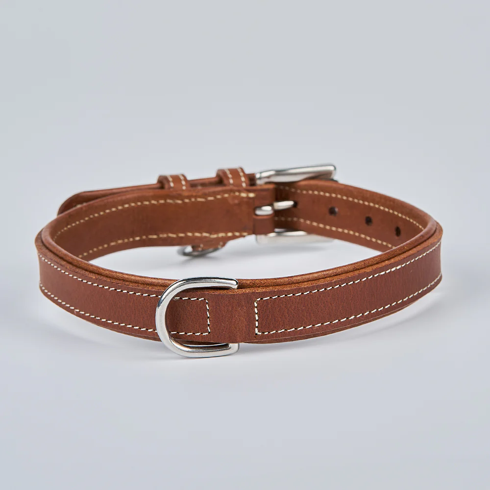 Kodak Bison Collar - Image 12