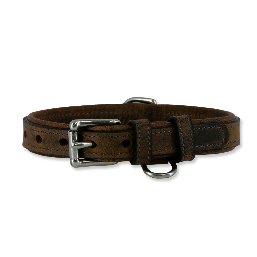 Kodak Bison Collar - Image 4