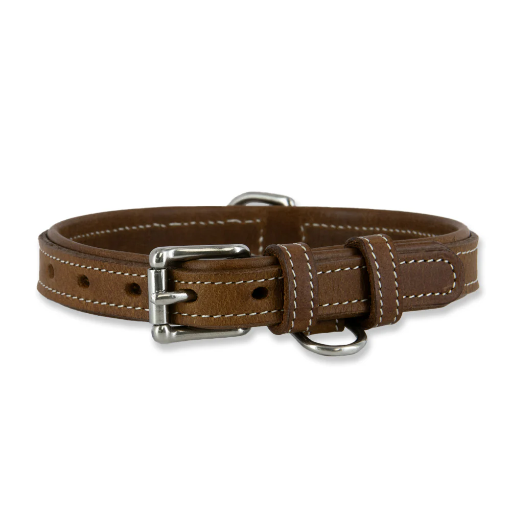 Kodak Bison Collar - Image 6