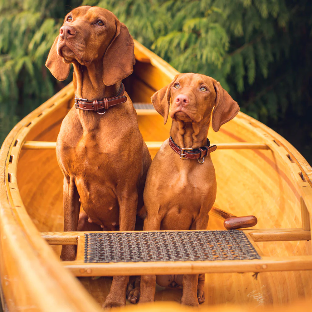 Bentley Raised Collar - Image 10
