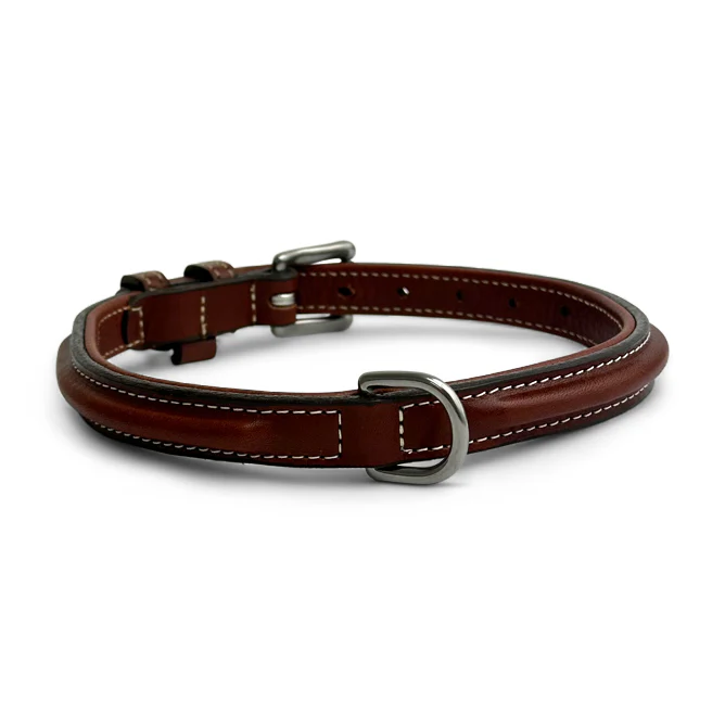 Bentley Raised Collar - Image 4