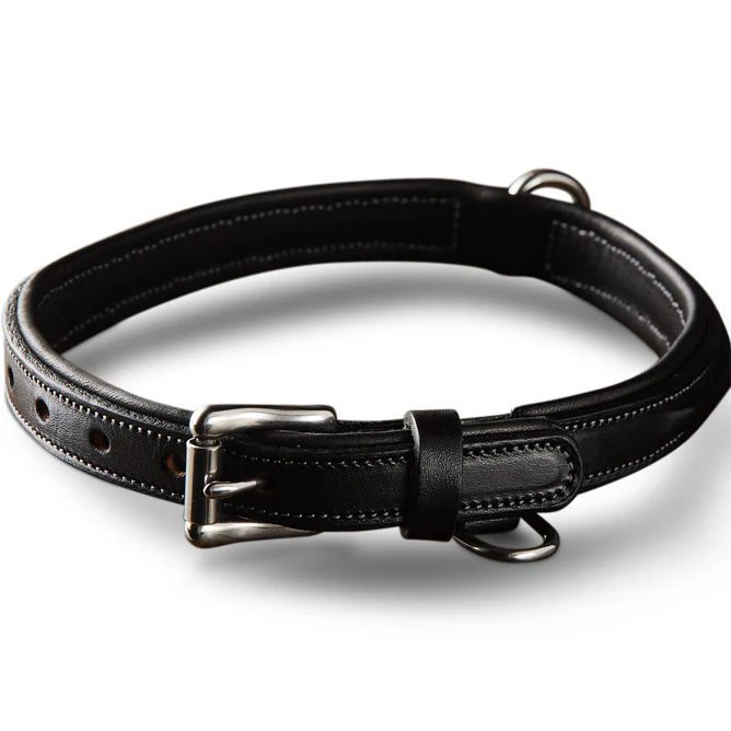 Bentley Raised Collar - Image 5