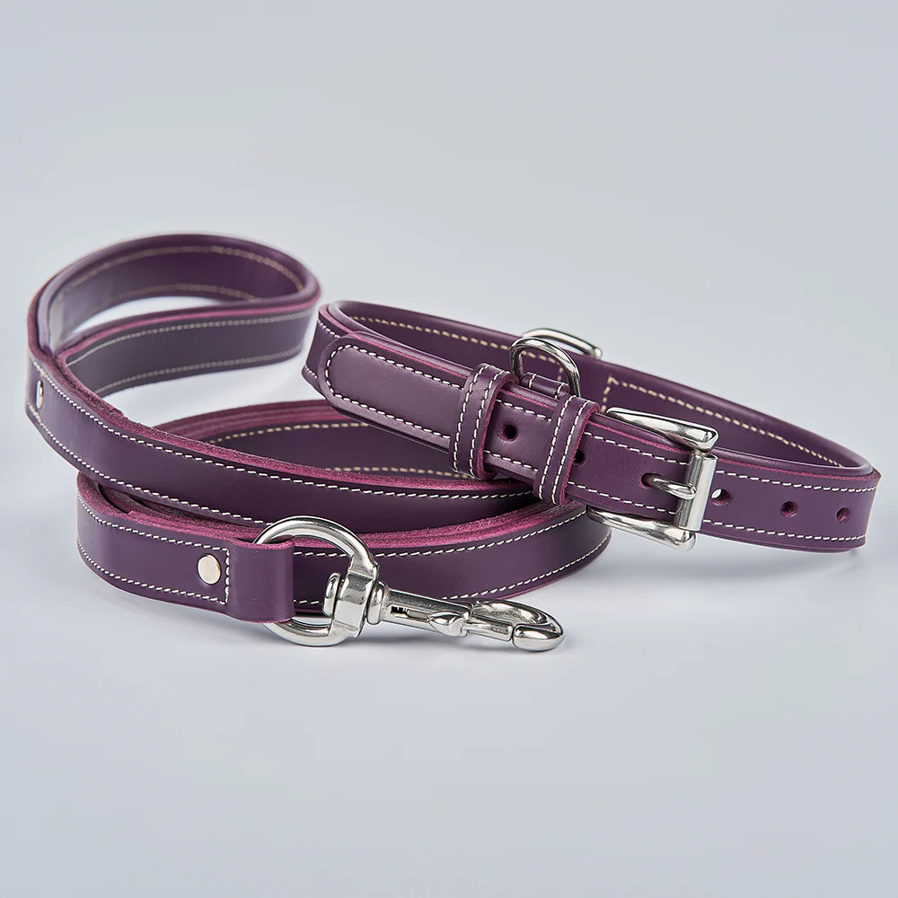 Rover Standard Collar - Image 33