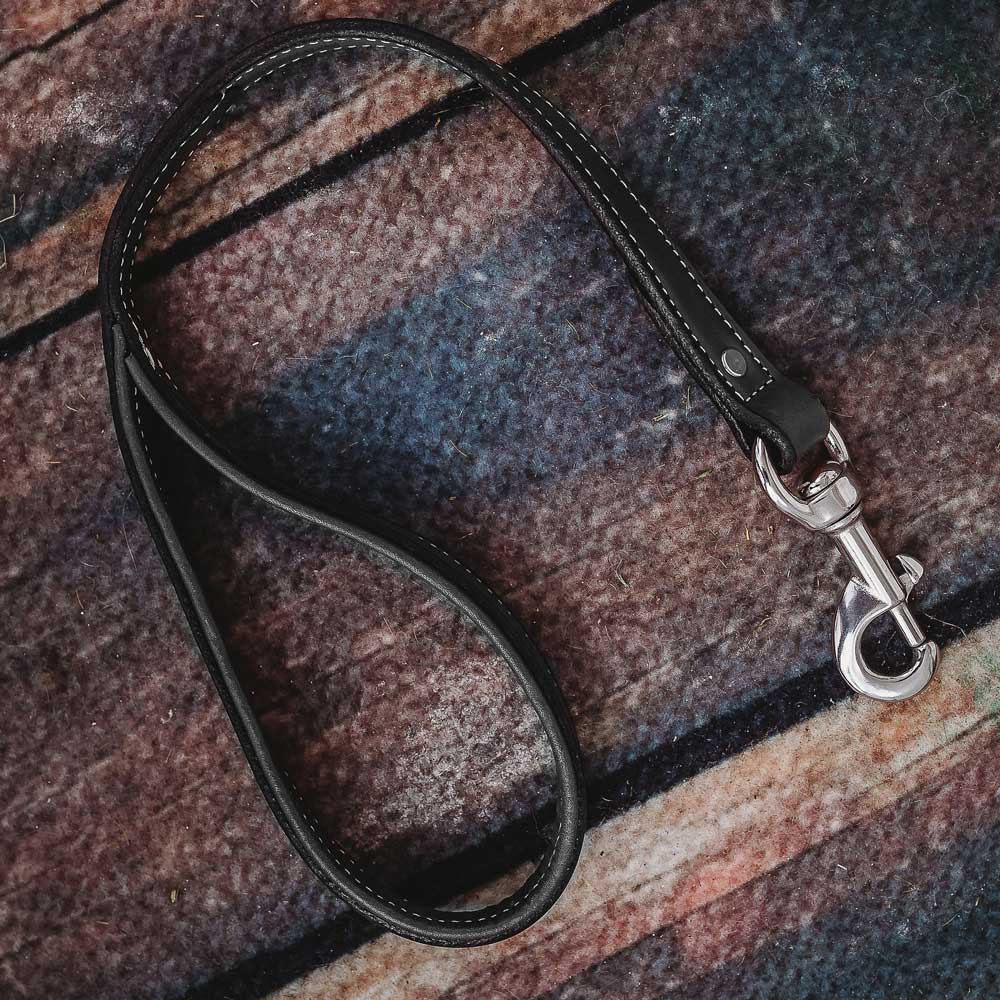 Traffic Leash - Image 4
