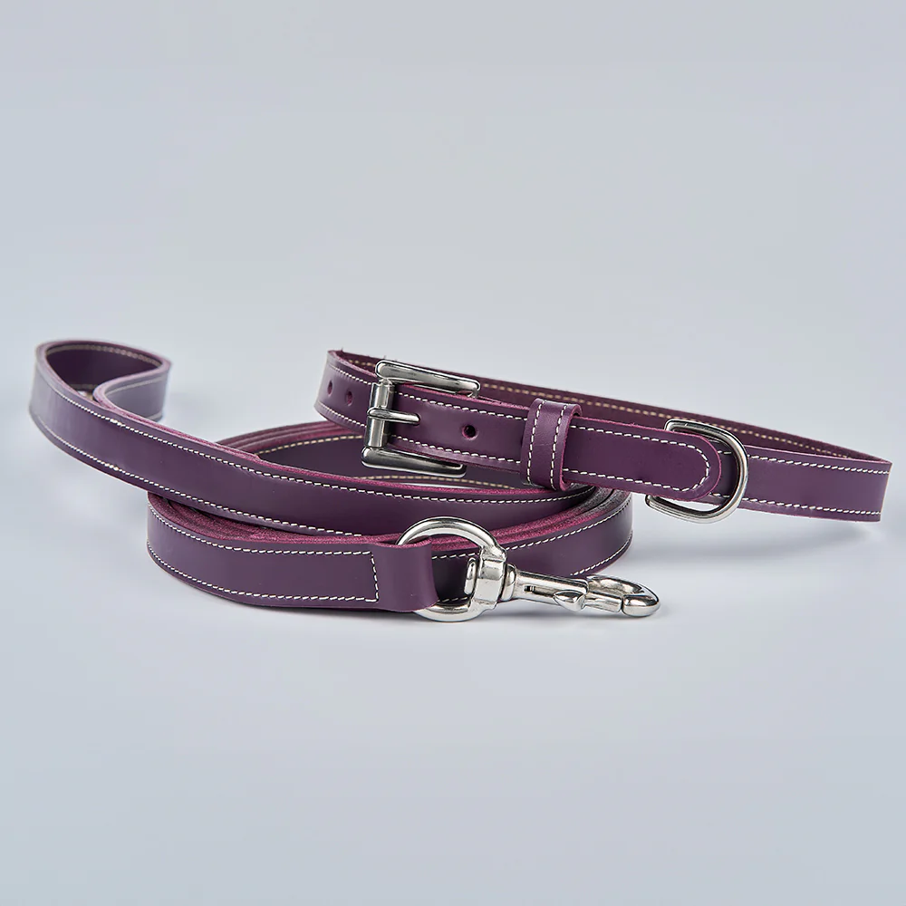 Old Reliable Collar - Image 10