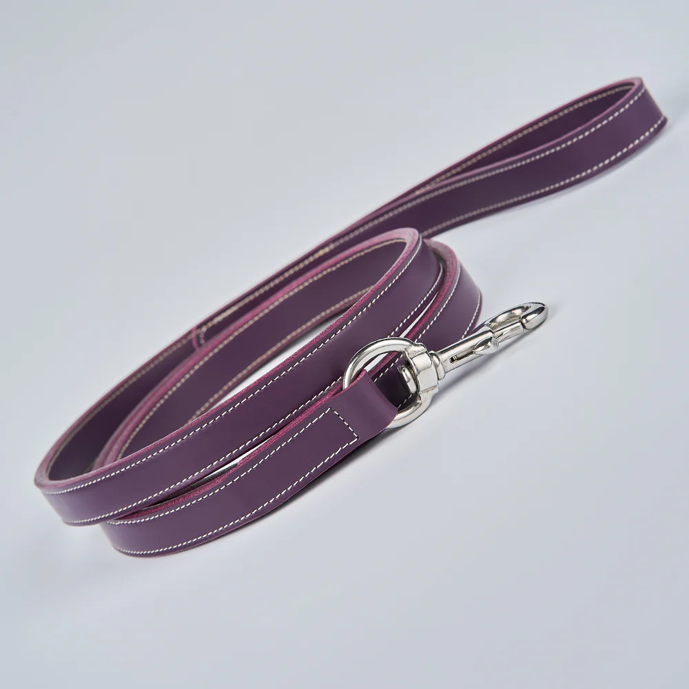 Old Reliable Leash - Image 13