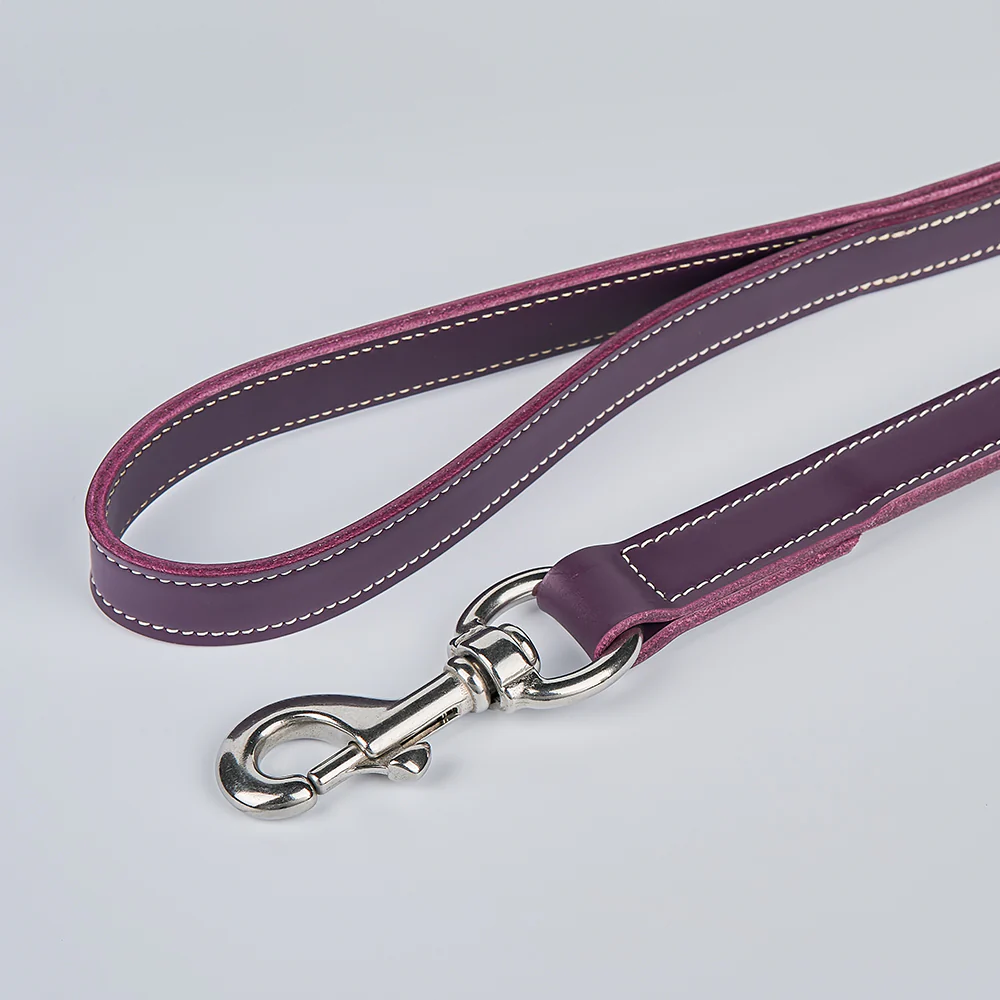Old Reliable Leash - Image 15