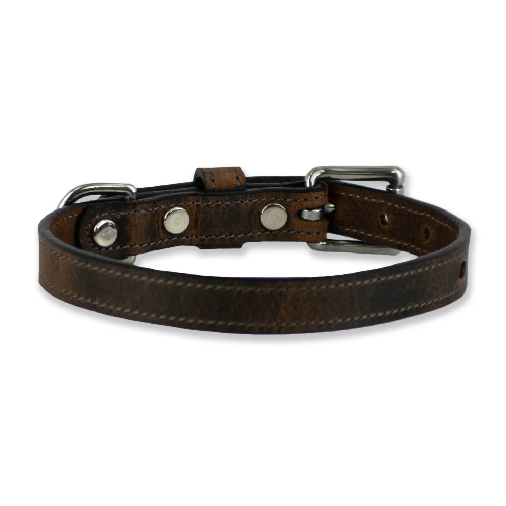 Ollie Bison Collar - Image 3