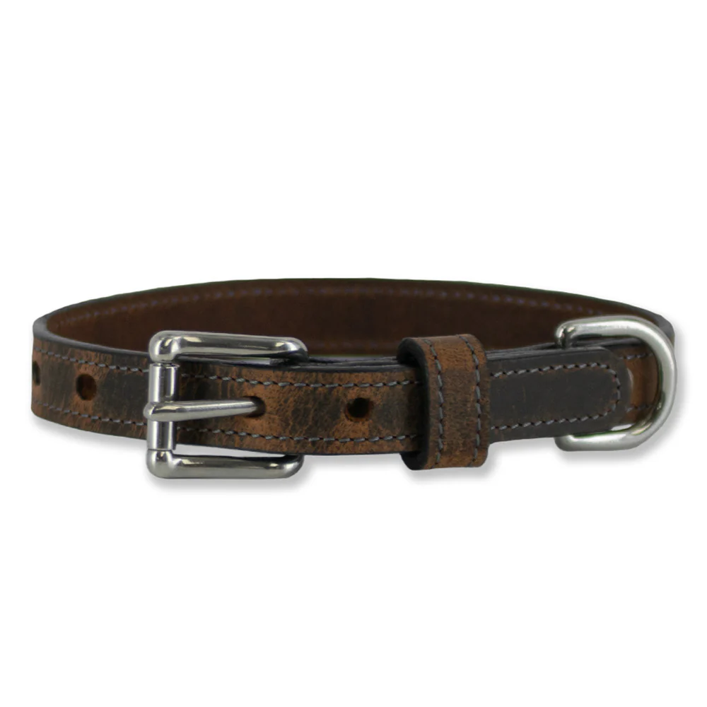 Ollie Bison Collar - Image 4