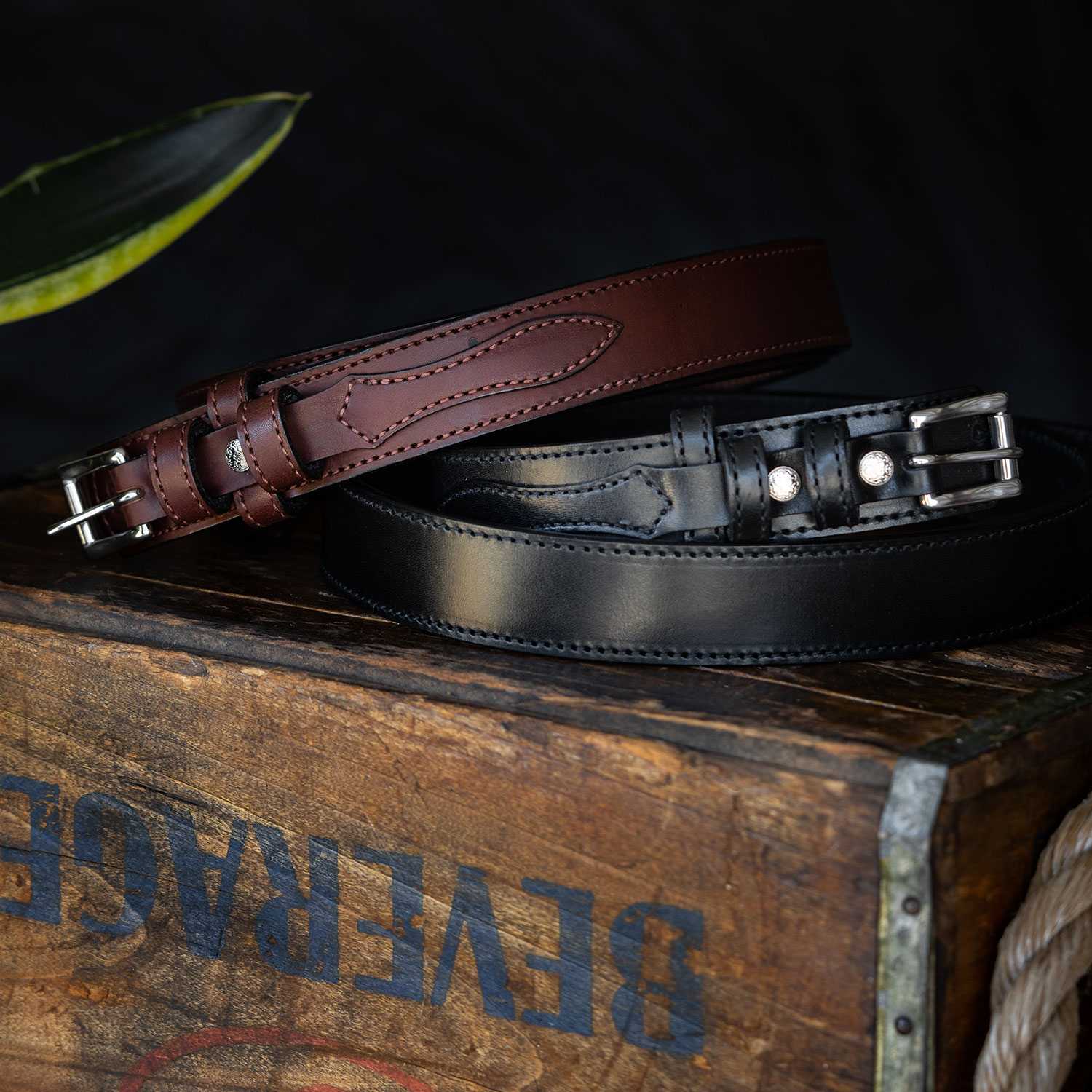 The Ranger - Image 12
