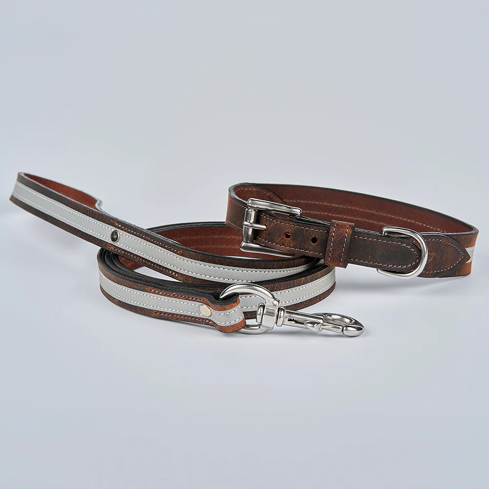 Remi Reflective Collar - Image 3