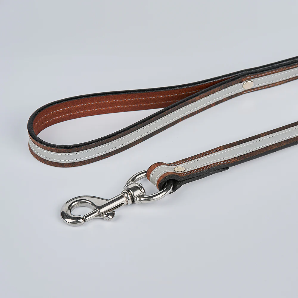 Remi Reflective Leash - Image 3