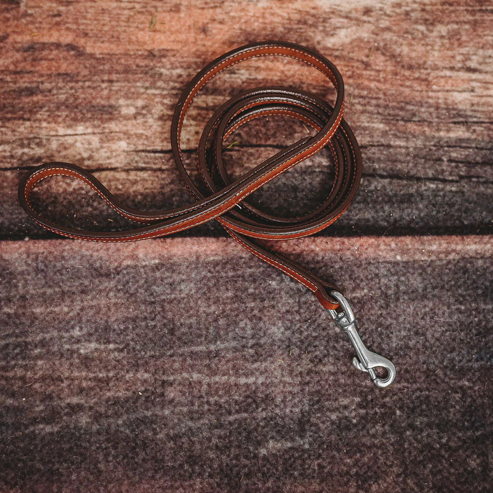 Rover Standard Leash - Image 11