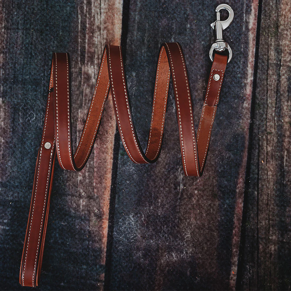 Rover Standard Leash - Image 12