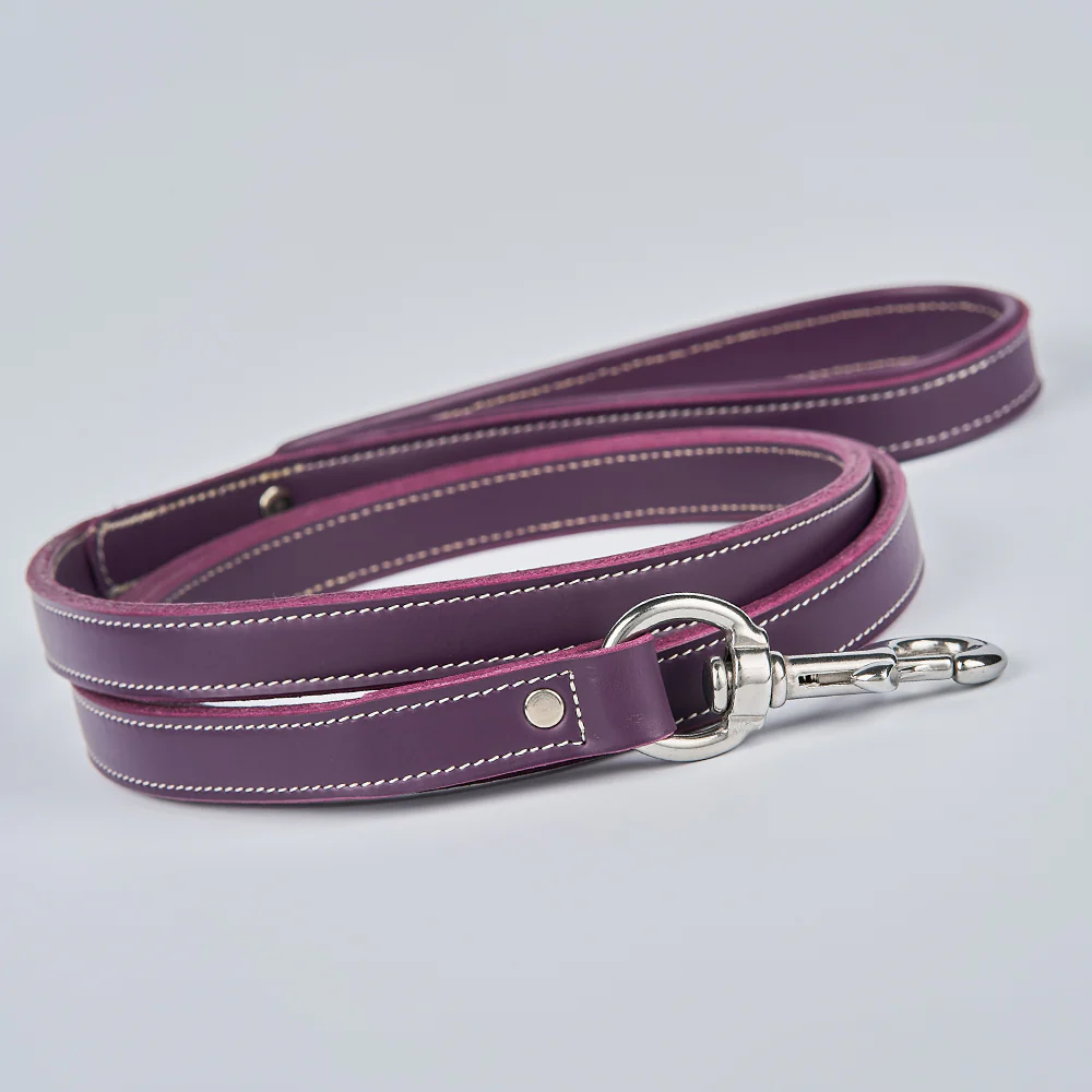 Rover Standard Leash - Image 16