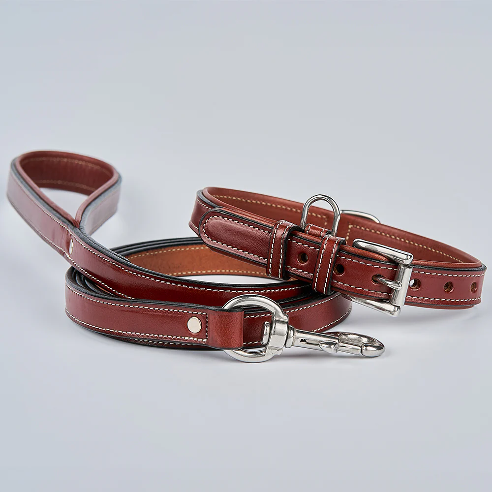 Rover Standard Leash - Image 19
