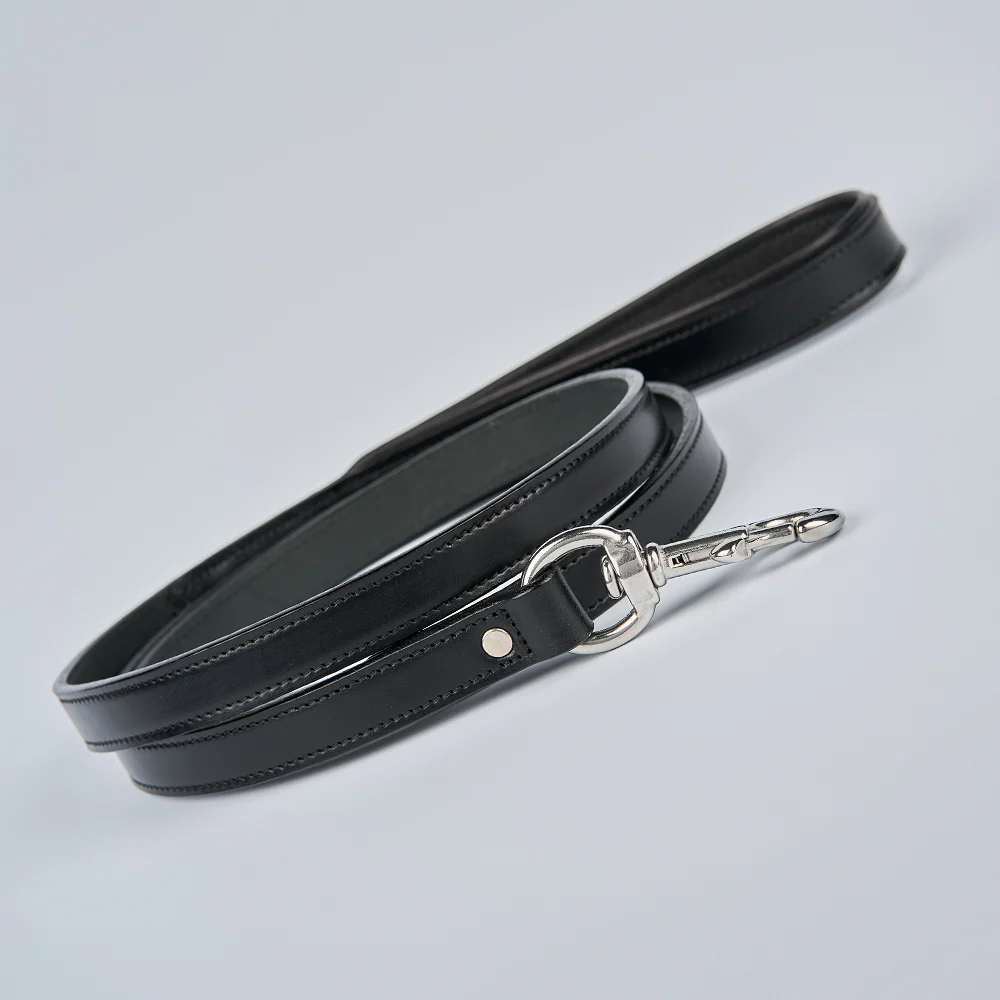 Rover Standard Leash - Image 20