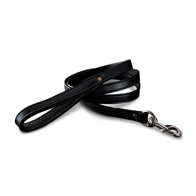 Rover Standard Leash - Image 5
