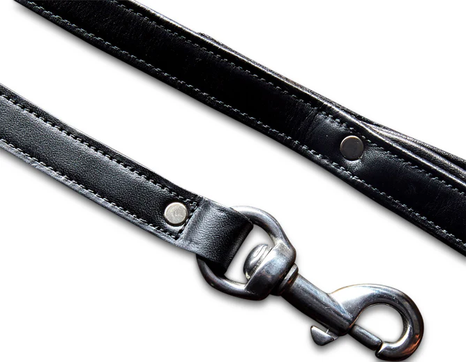 Rover Standard Leash - Image 6